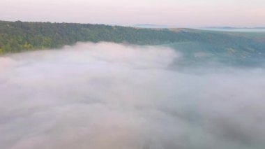 Sisle kaplı dramatik bir ormanın üzerinde bir dron uçuyor. 4k, İHA videosu ile çekilmiştir..