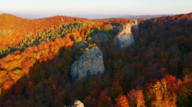 Güneşli bir günde, sonbahar ormanlarıyla çevrili uçurumlar. 4k, İHA videosu ile çekilmiştir..