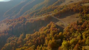 Renkli ormanın üzerinde gündüz uçan bir dronun muhteşem manzarası. 4k, İHA videosu.