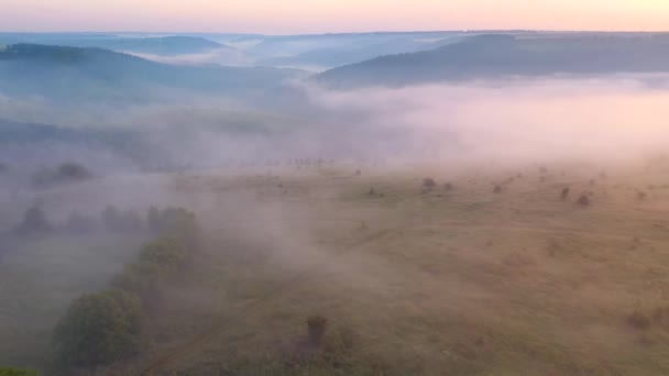 Dron Lata Nad Poranną Mgłą Która Pokrywa Pola Uprawne Wschodzie — Wideo stockowe