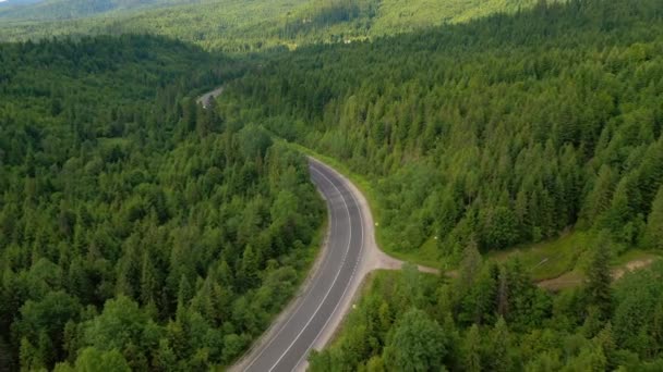 Schieten Van Een Kronkelende Weg Door Het Bos Vanuit Vogelperspectief — Stockvideo