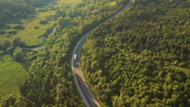 Tiro Uma Estrada Sinuosa Que Passa Pela Floresta Partir Vista — Vídeo de Stock