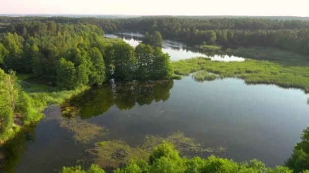 Неймовірно Спостерігати Спокійними Озерами Зеленими Лісами Сонячний День Місце Розташування — стокове відео