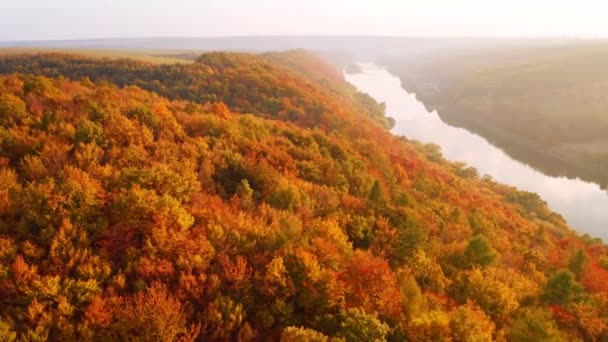 Sonbahar Ormanı Büyük Nehrin Kuş Bakışı Çekimleri Videosu — Stok video
