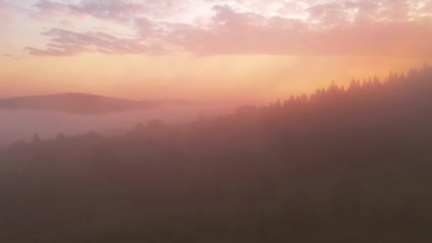 濃霧は朝の光の中で山や森を覆う 場所カルパチア山脈 ウクライナ ヨーロッパ 空中での撮影 地球の美しさを発見 4Kで撮影されたドローンビデオ — ストック動画