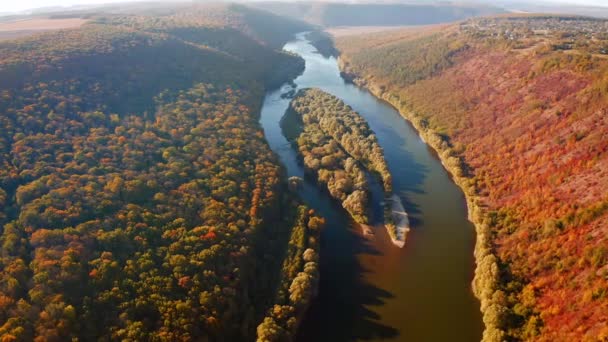 Vuelo Lento Dron Sobre Bosque Otoñal Atractivo Río Filmado Drone — Vídeo de stock