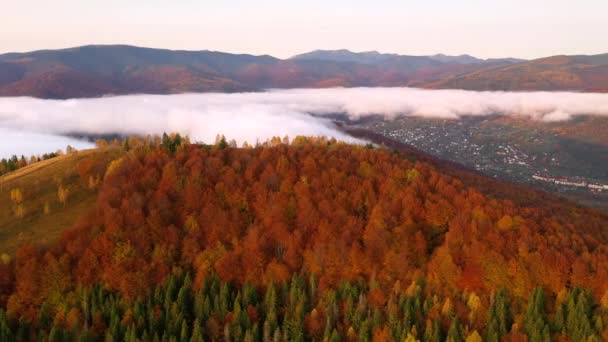 Dron Przelatuje Nad Gęstą Poranną Mgłą Pokrywającą Pasma Górskie Nagrywane — Wideo stockowe