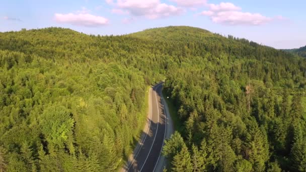 Drone Survole Une Route Sinueuse Qui Traverse Une Forêt Montagne — Video