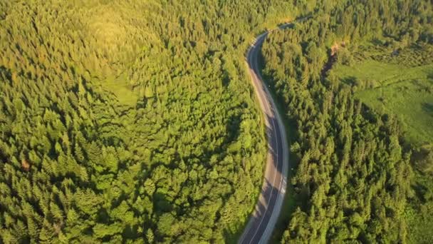 鳥の目線で森を抜ける曲がりくねった道の撮影 撮影4K ドローンビデオ — ストック動画