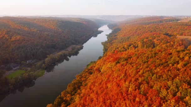Slow Flight Autumn Scene Forward Camera Motion Filmed Drone Video — Stock Video