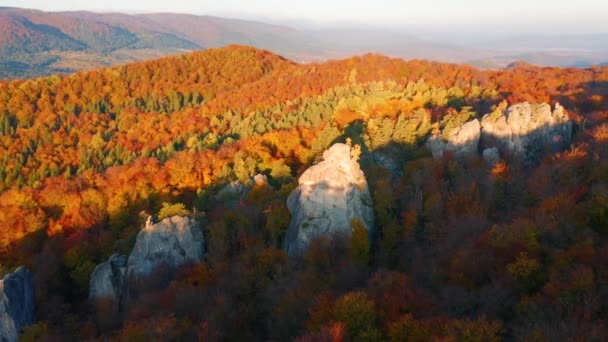 Βράχια Περιτριγυρισμένα Από Φθινοπωρινά Δάση Μια Ηλιόλουστη Μέρα Κινηματογραφήθηκε Drone — Αρχείο Βίντεο