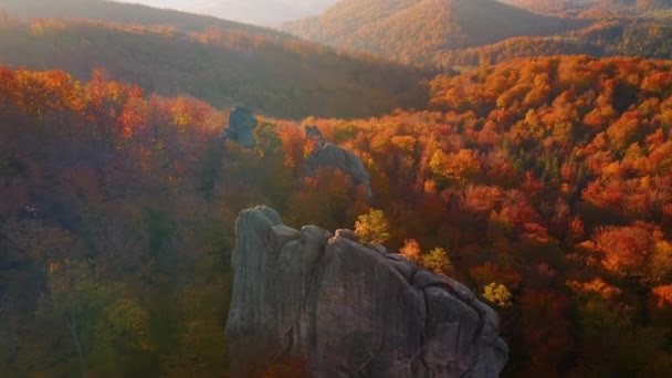 Klify Otoczone Jesiennym Lasem Słoneczny Dzień Nagrywane Wideo Drona — Wideo stockowe