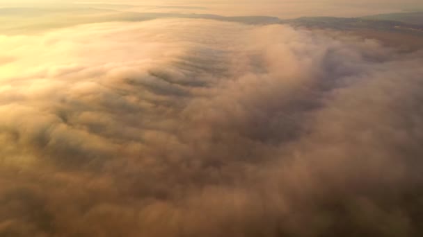 Thick Fog Illuminated Sun Envelops Fields Dawn Shooting Drone Cinematic — Stock Video