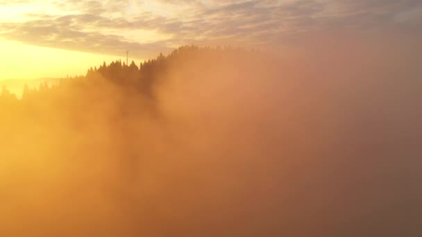 Hustá Mlha Pokrývá Hory Lesy Paprscích Ranního Světla Natočeno Drone — Stock video