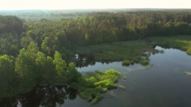 İnsansız hava aracı ormanla çevrili sessiz bir göl üzerinde uçuyor. Kuş bakışı. Küçük Polissya 'nın yeri, Ukrayna, Avrupa. Sinematik hava çekimi. Toprağın güzelliğini keşfedin. 4k, İHA videosu ile çekilmiştir..