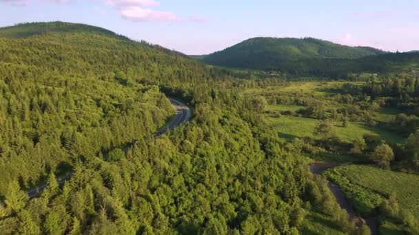 Optagelse Snoet Vej Passerer Gennem Skoven Fra Fugleperspektiv Filmet Drone – Stock-video