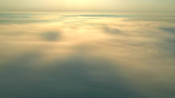 Drone Voando Sobre Denso Nevoeiro Matinal Que Cobria Terras Agrícolas — Vídeo de Stock