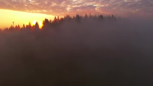 濃霧は朝の光の中で山や森を覆う 場所カルパチア山脈 ウクライナ ヨーロッパ 空中での撮影 地球の美しさを発見 4Kで撮影されたドローンビデオ — ストック動画