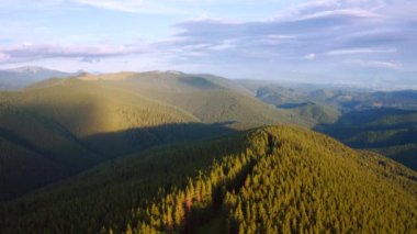 Sabahın köründe bir dron ormanın üzerinde uçuyor. 4k, İHA videosu.