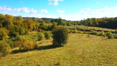 Vahşi bölgede dolambaçlı bir nehir manzarası harika. 4k, İHA videosu.