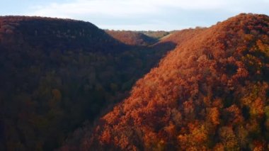 Dinyester Kanyonu 'ndaki sonbahar ormanının nefes kesici kuş bakışı görüntüsü. 4k, İHA videosu.