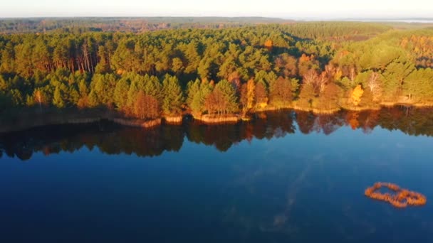 Dron Vuela Zona Salvaje Sobre Lago Pantanoso Filmado Drone Video — Vídeos de Stock