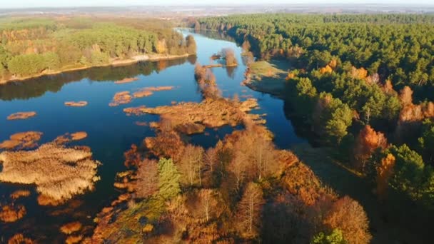 Drone Flies Reserve Morning Filmed Drone Video — Stock Video