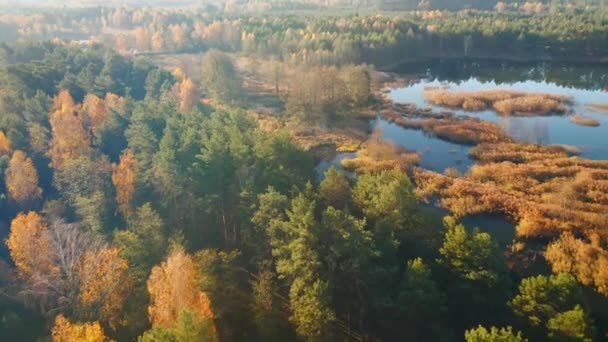 Vedere Ochi Pasăre Unui Lac Confortabil Înconjurat Pădure Toamnă Filmat — Videoclip de stoc