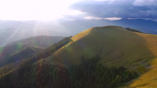 Vista Panorámica Desde Dron Los Prados Alpinos Filmado Drone Video — Vídeo de stock