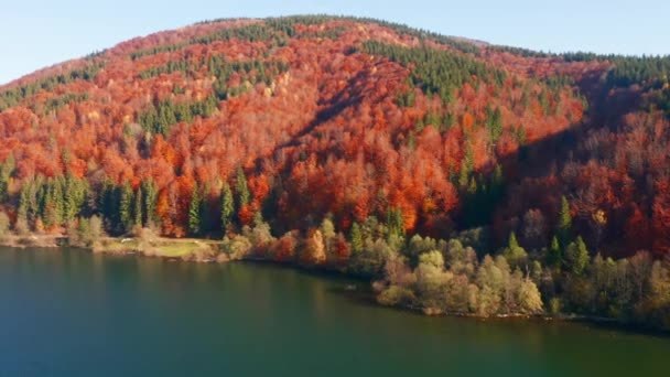 Vista Mágica Desde Dron Volando Sobre Bosque Otoño Lago Azul — Vídeos de Stock