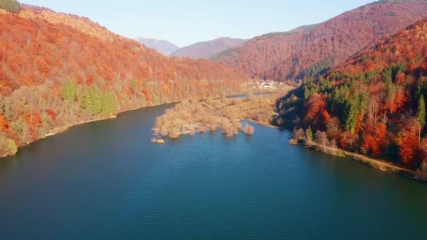 Vista Deslumbrante Drone Voando Sobre Floresta Outono Lago Azul Filmado — Vídeo de Stock