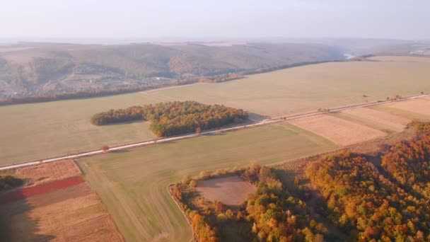 黄金の畑や農地を飛び越える四分儀からの撮影 4Kで撮影されたドローンビデオ — ストック動画