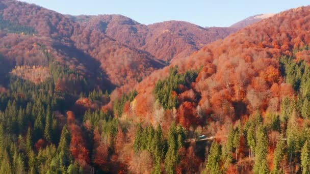 Attraente Lago Alpino Dalla Vista Volo Uccello Girato Video Drone — Video Stock