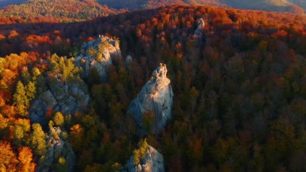 在阳光灿烂的日子里 无人机飞越了史诗般的石灰岩 乌克兰喀尔巴阡山脉 多布什岩石 电影空中拍摄 发现地球的美丽 以4K 无人驾驶视频拍摄 — 图库视频影像