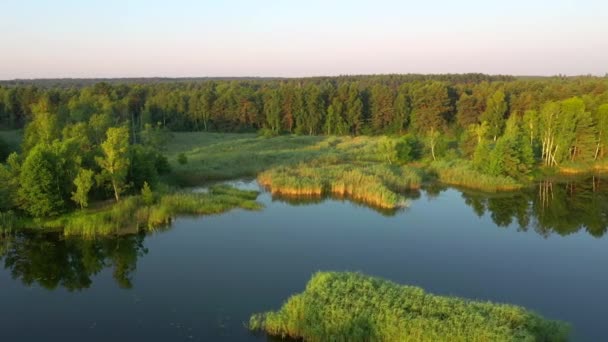 드론은 숲으로 둘러싸인 다닙니다 의시야 폴리시아 우크라이나 영화에 나오는 샷이야 — 비디오