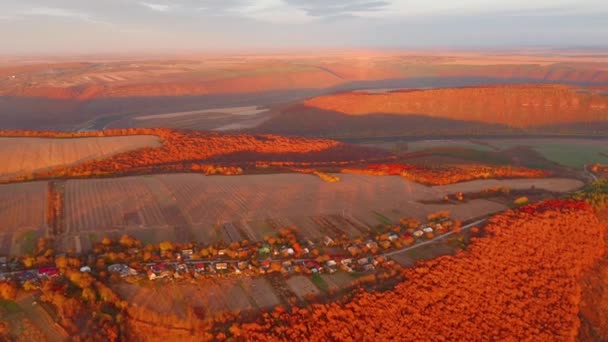 Vista Deslumbrante Drone Voando Sobre Cena Outono Manhã Filmado Vídeo — Vídeo de Stock