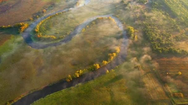 Spektakulära Slingrande Flod Lummiga Gröna Våtmarker Från Fågelperspektiv Inspelning Från — Stockvideo