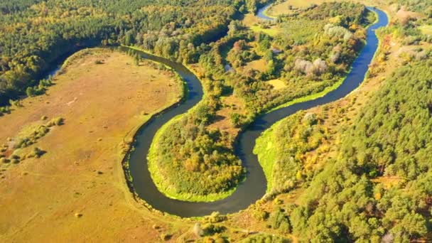 Wspaniały Widok Krętą Rzekę Dzikiej Okolicy Nagrane Wideo Drona — Wideo stockowe