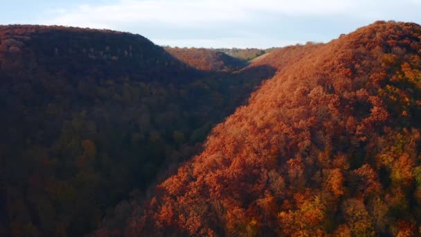 Vue Couper Souffle Sur Forêt Automne Dans Canyon Dniester Filmé — Video