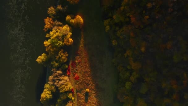 Splendide Vue Aérienne Forêt Automne Dans Canyon Dniester Filmé Drone — Video