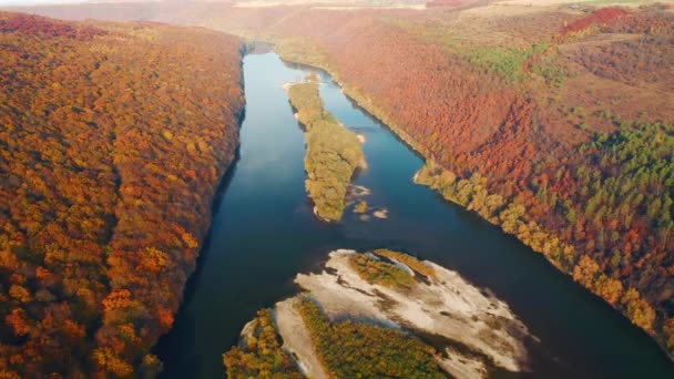 Attraktive Vogelperspektive Auf Den Herbstlichen Wald Der Dnjestr Schlucht Gefilmt — Stockvideo