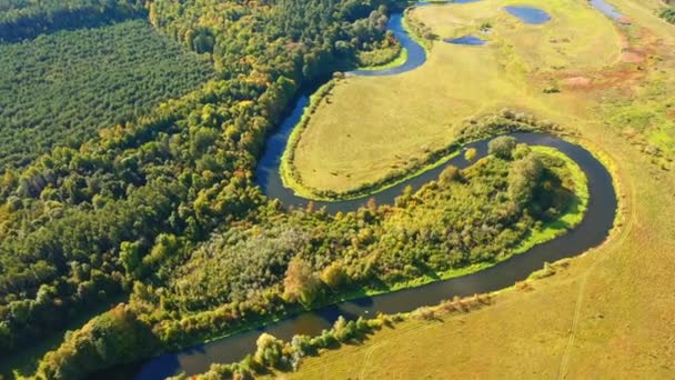 Bovenaanzicht Van Een Kronkelende Rivier Het Wilde Gebied Bird Oogzicht — Stockvideo