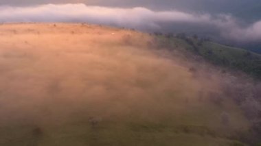 İnsansız hava aracı güneş doğarken sisle kaplı bir çayırın üzerinde uçuyor. 4k, İHA videosu ile çekilmiştir..