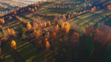 Bir kuşun gözünden dağlarda muhteşem bir sonbahar günü. 4k, İHA videosu ile çekilmiştir..