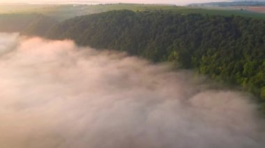 Sisle kaplı dramatik bir ormanın üzerinde bir dron uçuyor. 4k, İHA videosu ile çekilmiştir..