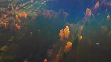 Sabah ışığında yuvarlanan tepelerin sonbahar sahnesi. 4k, İHA videosu ile çekilmiştir..