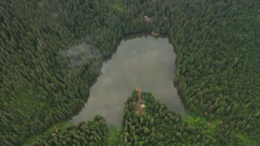 Ormanla çevrili küçük bir gölün üzerinde bir dron uçuyor. Yeri Synevir Gölü, Karpat Dağları, Ukrayna, Avrupa. Sinematik hava çekimi. Toprağın güzelliğini keşfedin. 4k, İHA videosu.