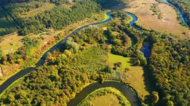 Vahşi bölgede dolambaçlı bir nehir manzarası harika. 4k, İHA videosu.