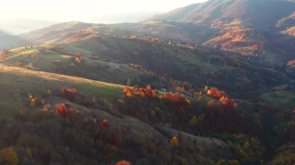 Prachtige Herfst Scène Van Een Glooiende Heuvels Ochtend Licht Gefilmd — Stockvideo