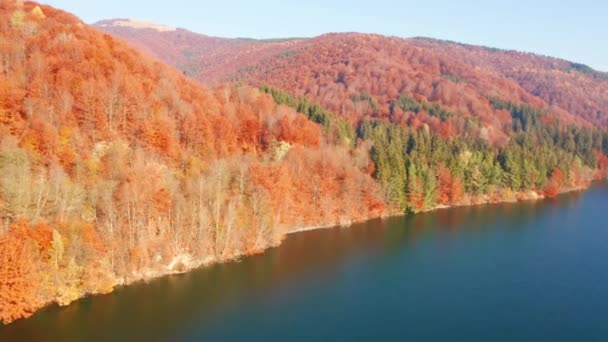 Vista Deslumbrante Drone Voando Sobre Floresta Outono Lago Azul Filmado — Vídeo de Stock